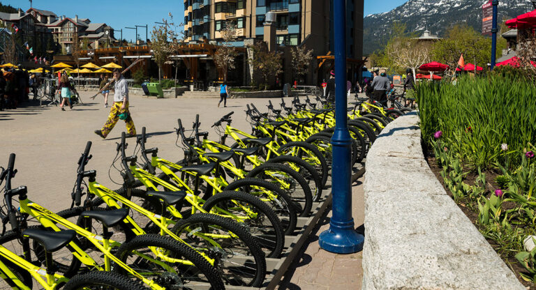 Customized Cycling: Bike Rentals for All Age Groups