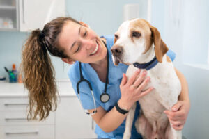 Long Island Animal Hospital’s Community Engagement and Pet Advocacy